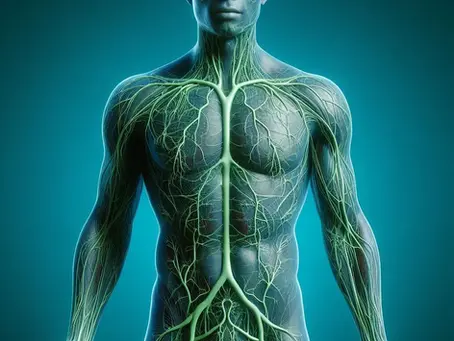 The Importance of Manual Stimulation for Your Lymphatic System