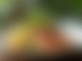 Elevate Your Events with Miami Catering