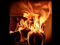 tronco de madera comprimida ecoleña