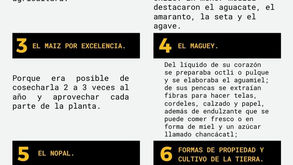 APUNTE Y ACTIVIDAD 1 HISTORIA 11/11/20