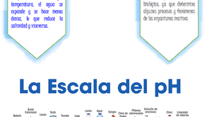 Apunte más actividades 1 y 2 Geografía 10/03/21