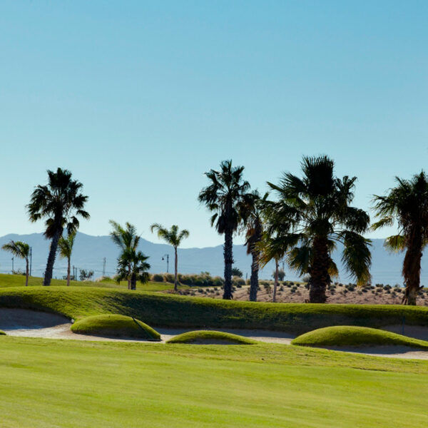 Golf Mar Menor
