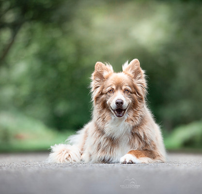 IMG_0044-Edit copie.jpg