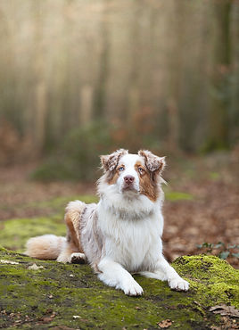 IMG_0005-Edit copie.jpg