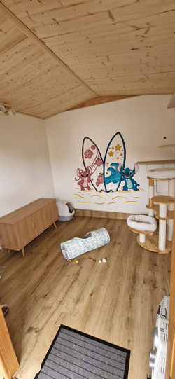 Cat cottage 2