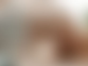 🐾 Canicule 2025 : Comment protéger votre chien ou votre chat pendant les fortes chaleurs ?