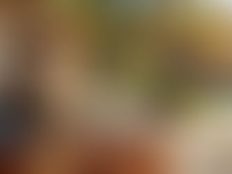 🌟 5 conseils pour bien préparer votre chien ou chat avant un séjour à la pension DreamCaniCat