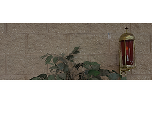 Untitled design (27).png