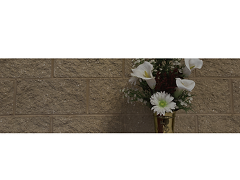 Untitled design (22).png