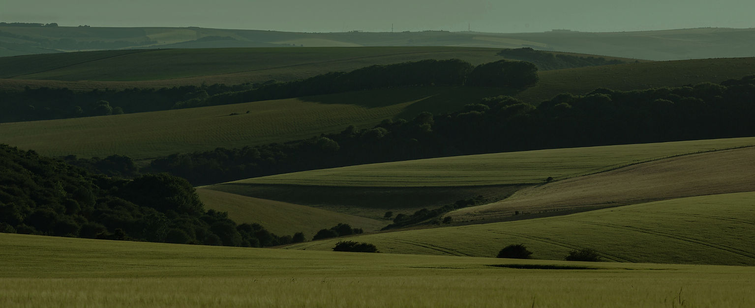 worship services (55)_edited.jpg