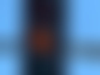 Yellow Lights: to Run or to Stop. That is the Question.