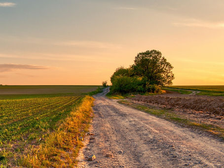 A Peaceful Drive Down a Back Country Road