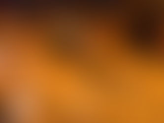 What could you learn at a family dinner?