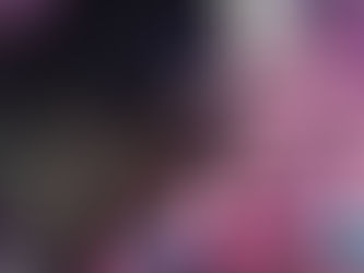 My Best Cuddle Buddy, Taco