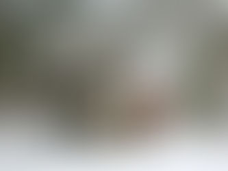 Please Enjoy Johnnie’s Christmas by Libbie C. Baer