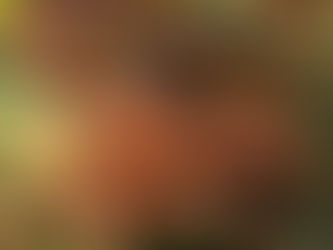 Just Staying True to My Roots