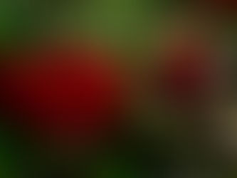 December 30th is a Special Day for Me