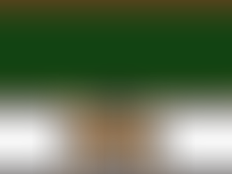 Life Lessons I Learned at Waco Elementary School