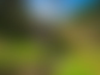 From Forests by Henry Kendall is the Perfect Poem to Enjoy While in the Mountains