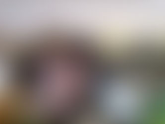 When My Fur Babies are Demanding