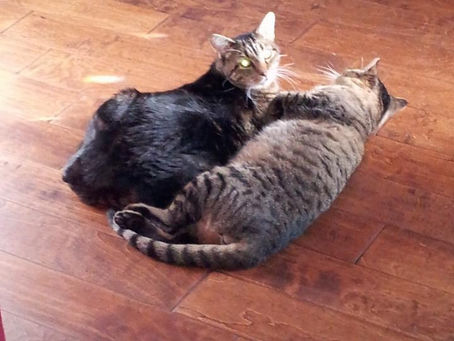 A Little Courtesy, A Better World