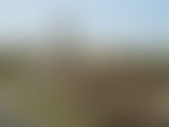 A Robert Frost Poem in Honor of Those Rebuilding