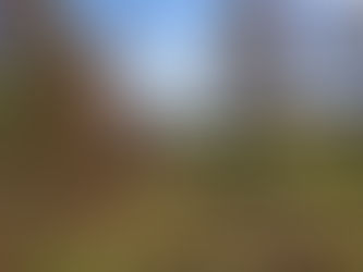 My Retreat Feeds My Creative Spirit