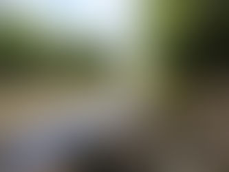 Proverbs, Adages, Aphorisms, and Axioms from the Ozarks (Our Sayings)