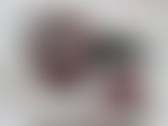 Please enjoy my memoir, The Best Elderberry Jelly Ever in honor of Family Thanksgiving Dinners