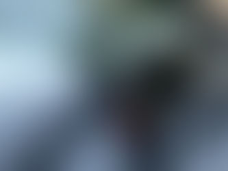 Replacing Wiper Blades, Traumatizing My Dog