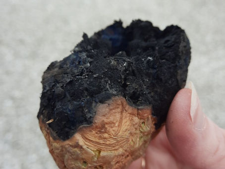 Setting My Lunch on Fire