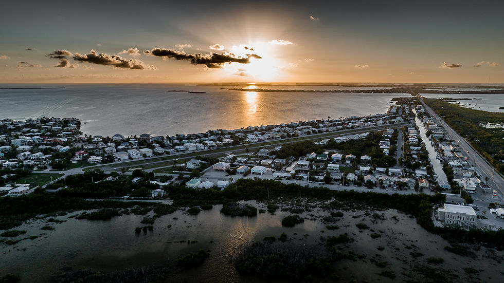 DJI_0001.jpg