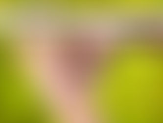 AKUPRESURA - 5 MINUT DLA WZMOCNIENIA I RÓWNOWAGI ORGANIZMU