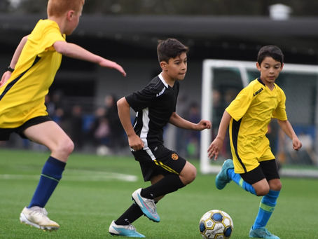 Breaking News:  Updates for the 2024 off Season