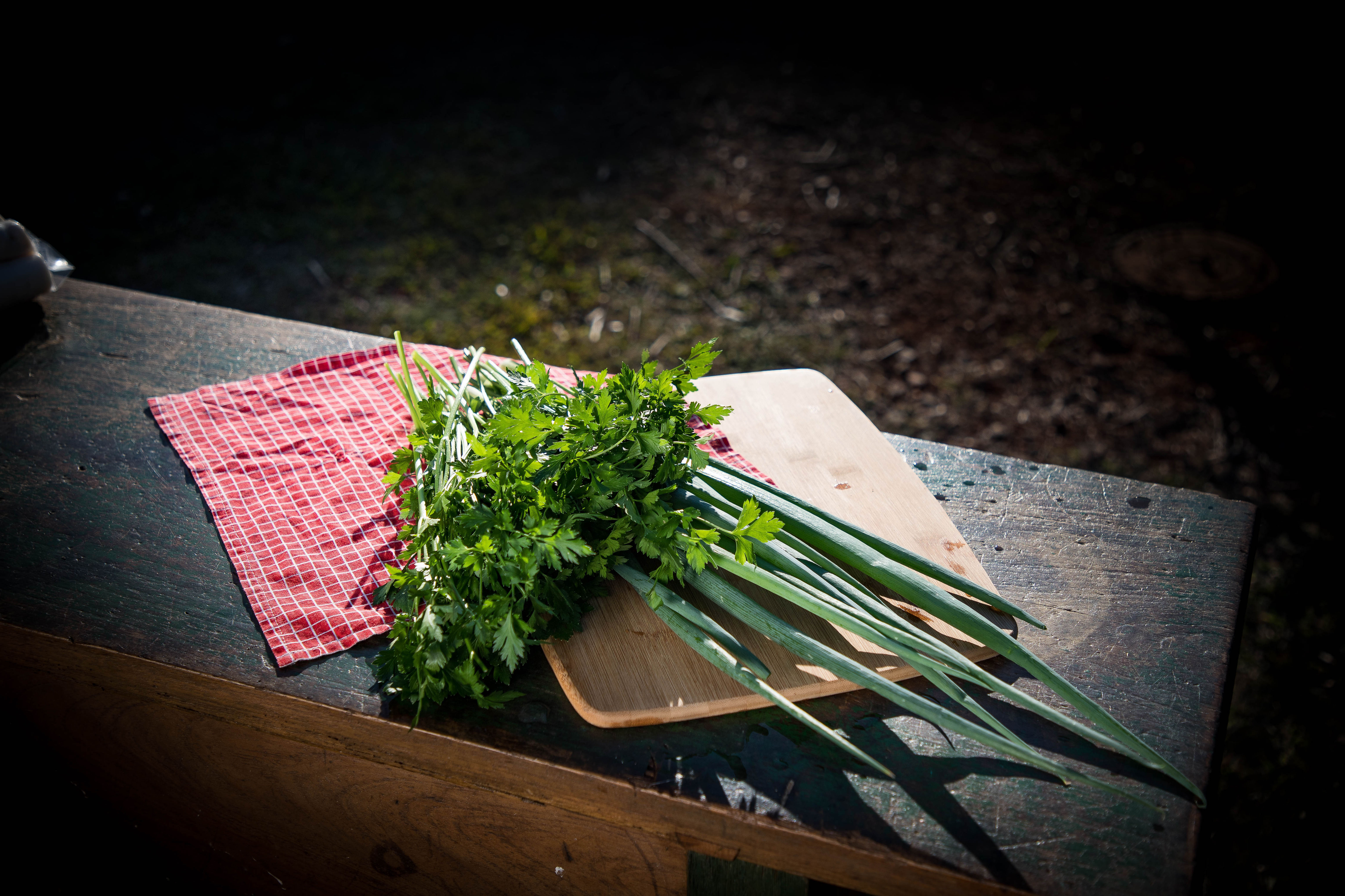 Salsinha Orgânica (molho)