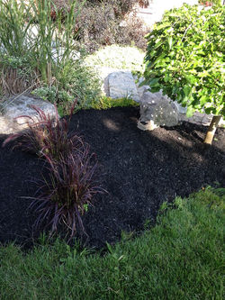 12669526_10207009464968023_1564610191428814111_n