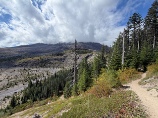 A dirt trail overlooking a rocky valley, surrounded by pine trees