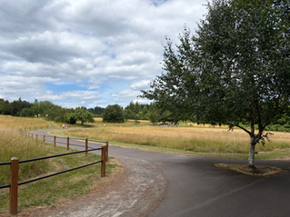 A paved trail at Luscher Farms winding through grassy fields with a large tree in the foreground