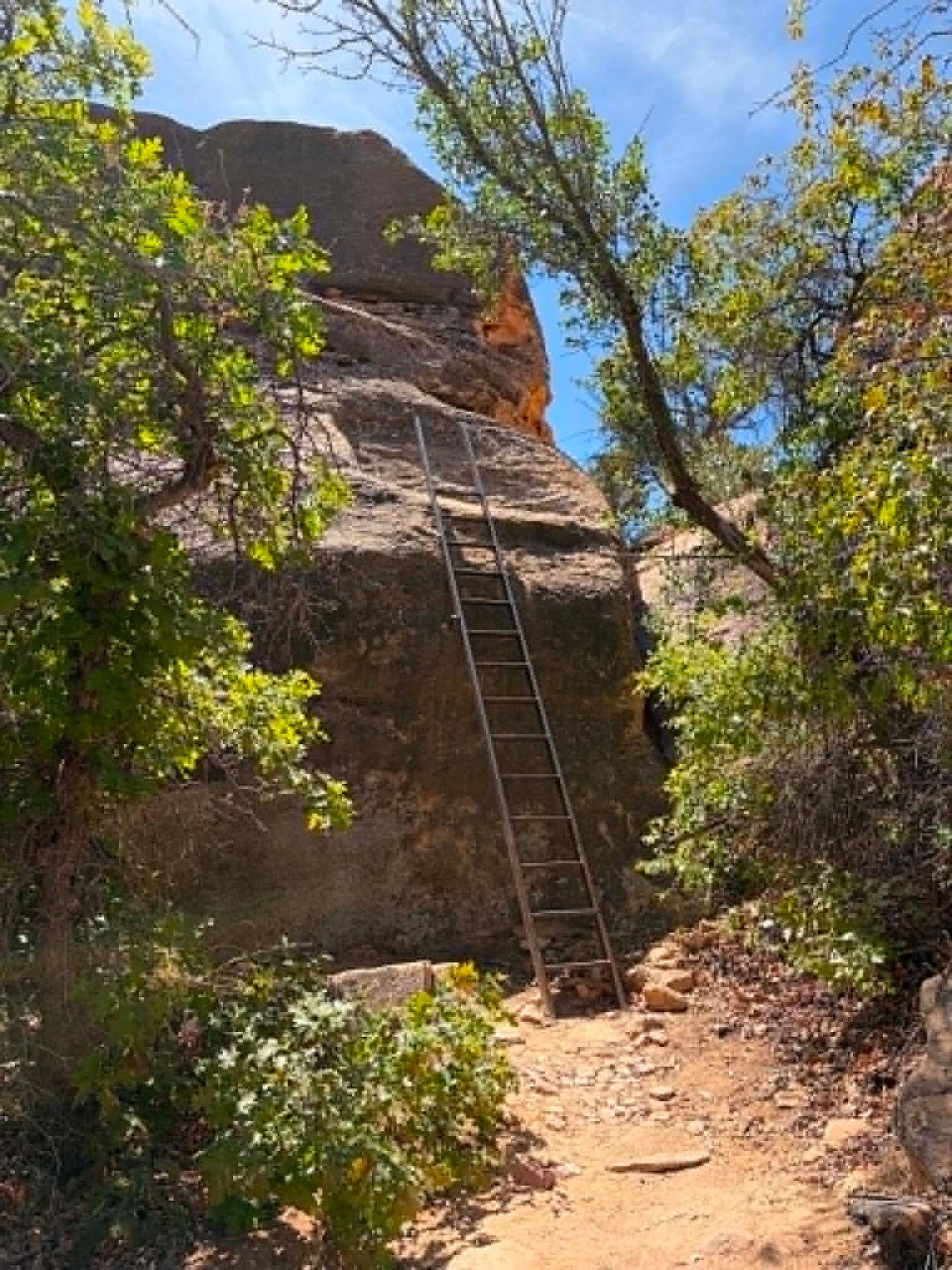 ladder at Cave Springs