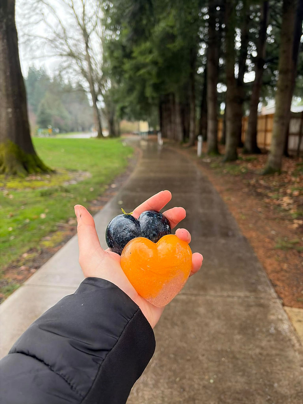 Hand holding a black and orange heart-shaped item on a rainy path lined with trees. Overcast mood with green grass and wet ground.