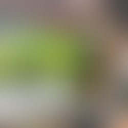 a man fishing under a bridge