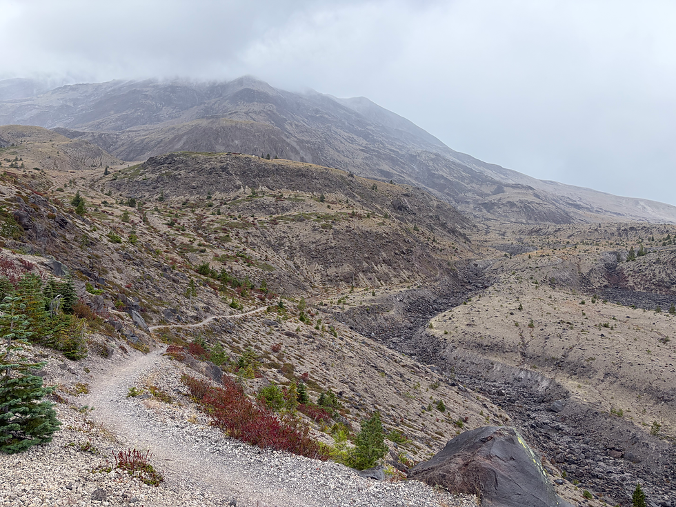 A dirt trail snakes through hills and valleys through barren land dotted with trees and bushes, on a cloudy and misty day