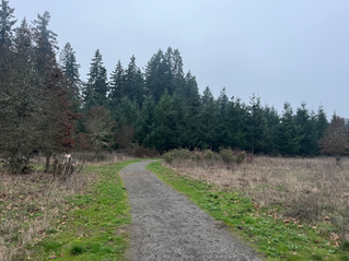 Graham Oaks nature park trail into the forest, through a grassy field