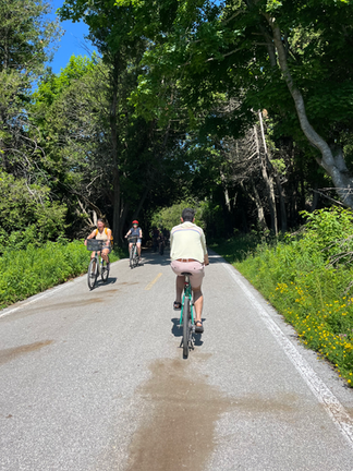 a man biking through the forest