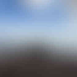 tire tracks on a muddy lakebed