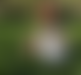 O ENCANTO DA PÁSCOA NO IMAGINÁRIO INFANTIL