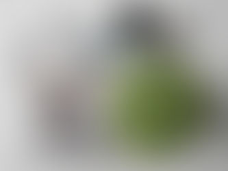 Entrevistas, reportagens e palestras.