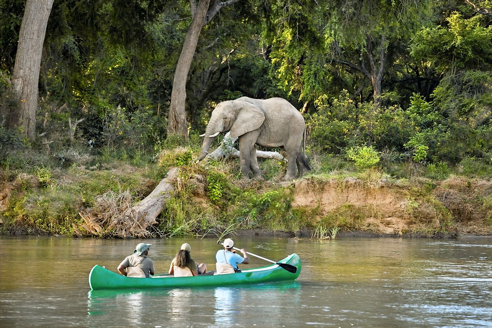 Canoeing
