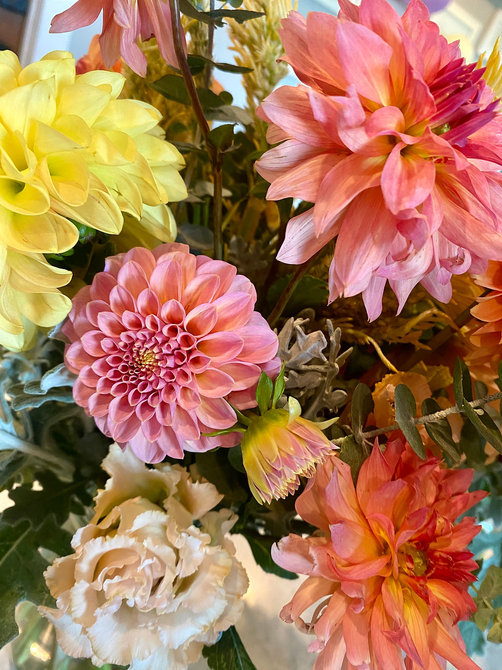 Fall Subscription