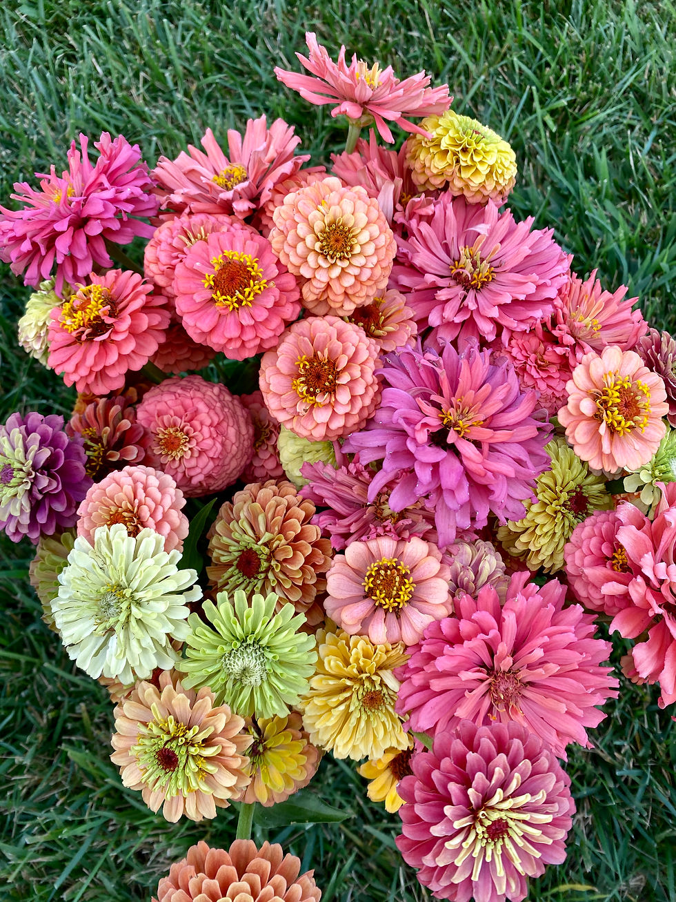 Bulk Flower Buckets